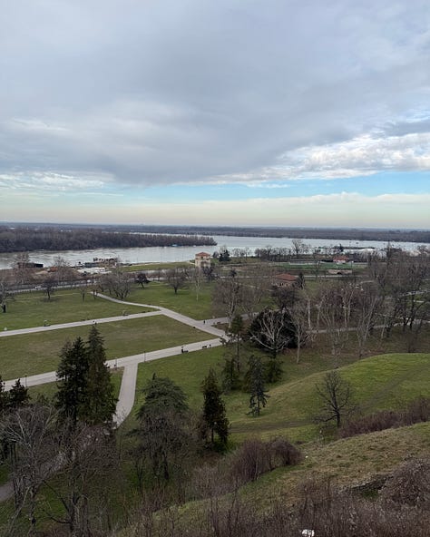 Views of the Danube and Sava Rivers and the city. 