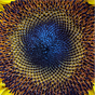 Jeremy McKeown's avatar
