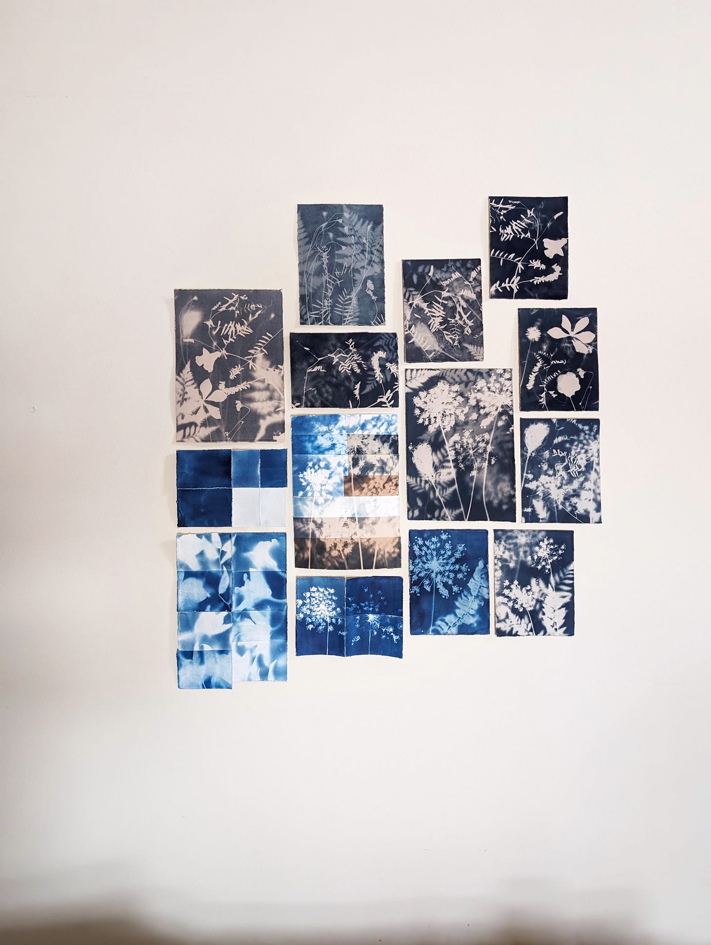 cyanotypes, toned and not, on a beige wall cyanotypes, toned and not, on a beige wall