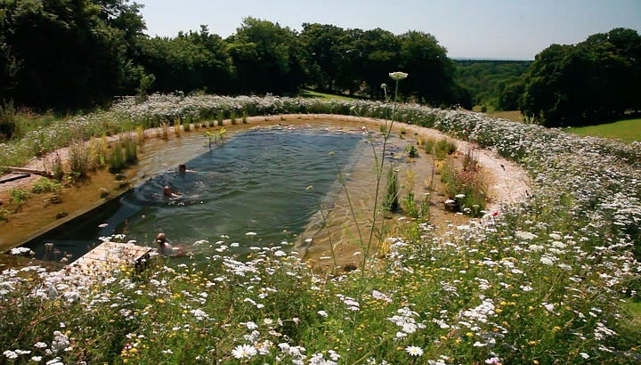 Pool Gallery - Organic Pools by David Pagan Butler