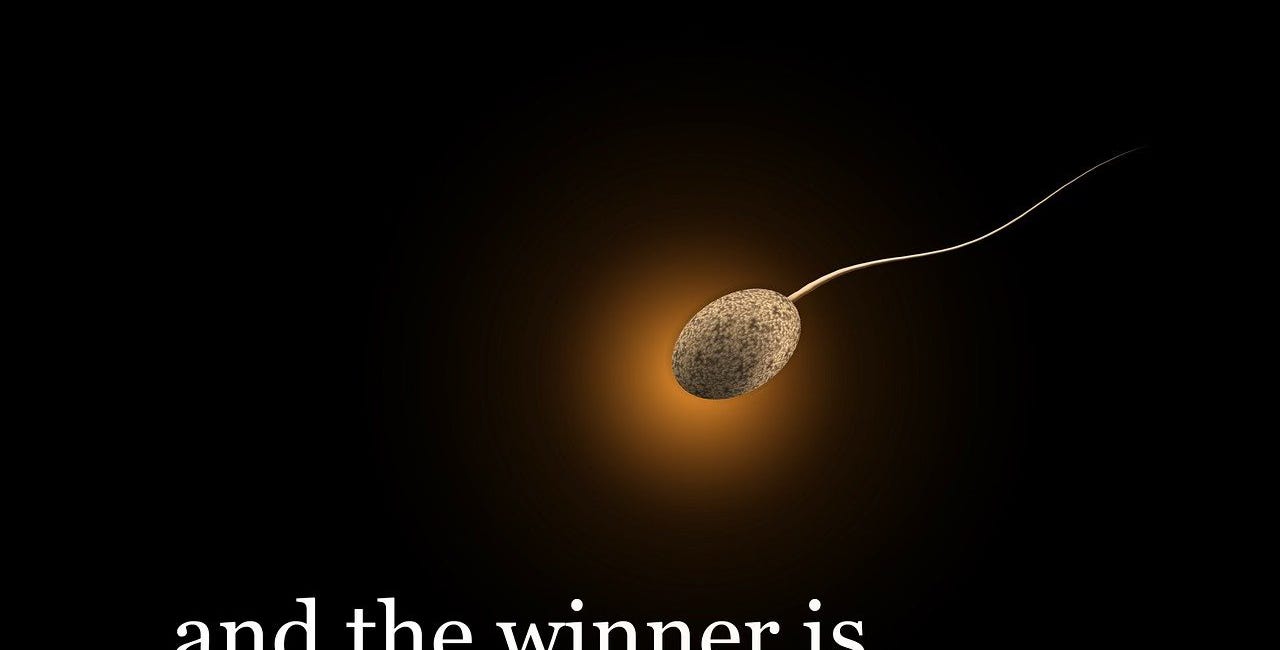 Saturday Report 4/19/25 - The GOP has adopted new family values - you can now DM random women offering to inseminate them....