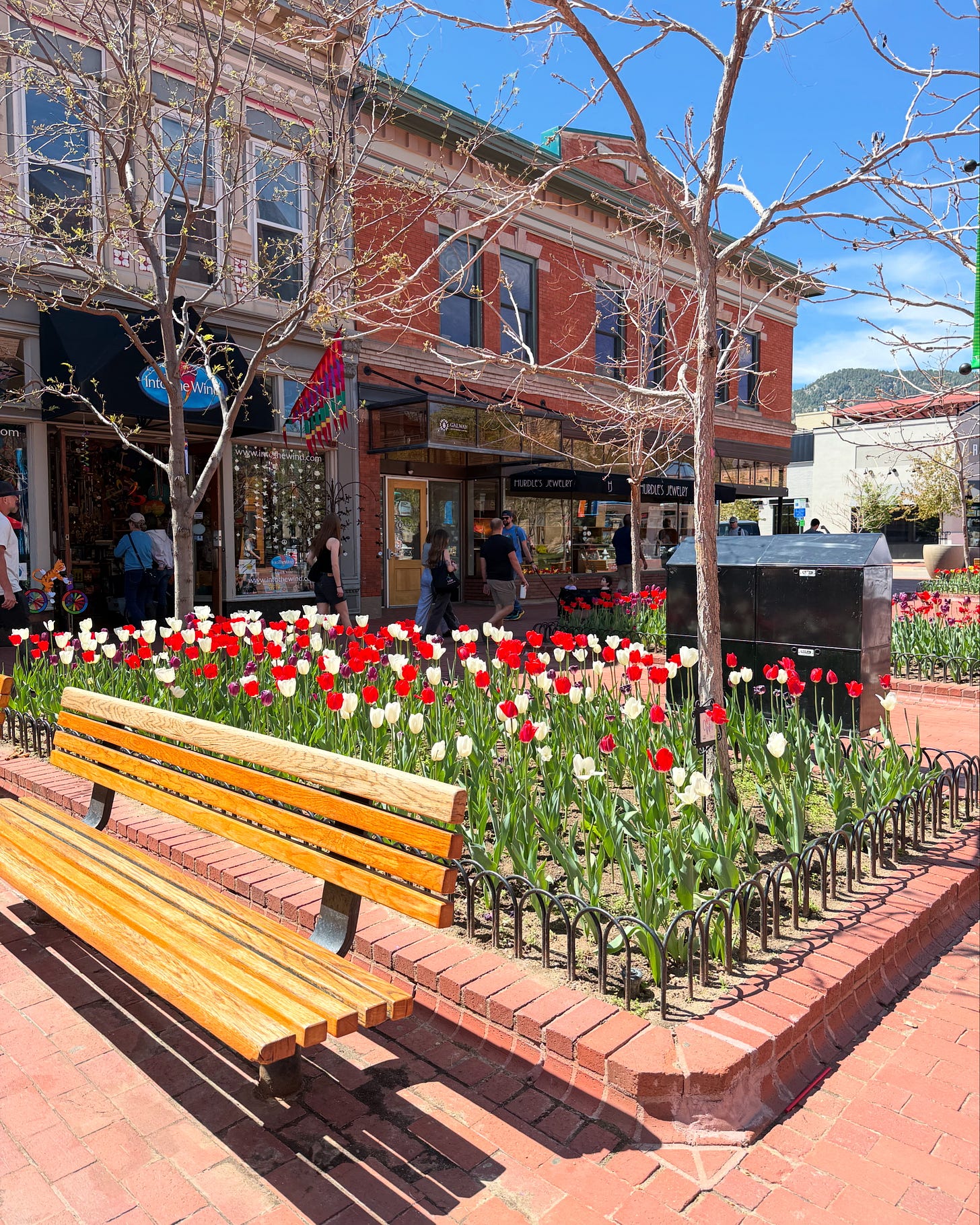 A sunny spring afternoon on Pearl Street in Boulder, Colorado. The foreground features a vibrant bed of red and white tulips blooming beside a worn wooden bench. A few people stroll along the brick-paved sidewalk in the background, passing charming storefronts with large windows and colorful signs. The sky is a bright, cloudless blue, and bare tree branches reach overhead, signaling the early days of spring. The scene feels peaceful, grounded, and quietly alive.