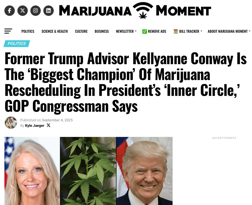 Screengrab of AskaPol.com sister publication Marijuana Moment's site Screengrab of AskaPol.com sister publication Marijuana Moment's site