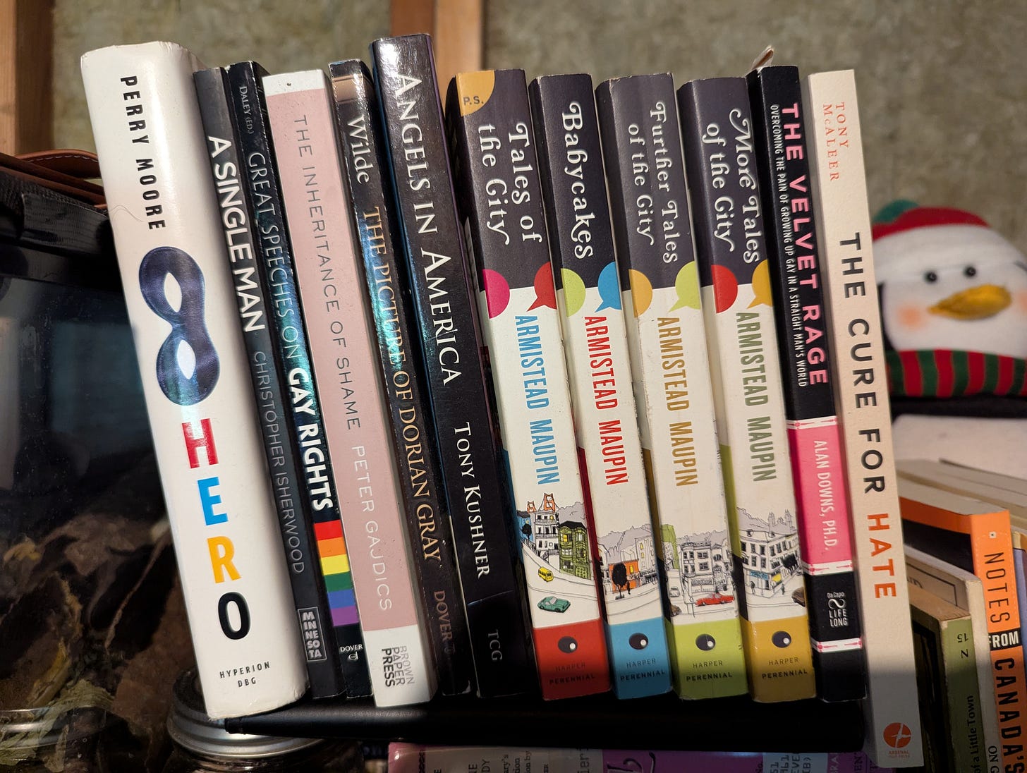 A shelf with several queer books, including Hero and Armistead Maupin's Tales of the City series A shelf with several queer books, including Hero and Armistead Maupin's Tales of the City series