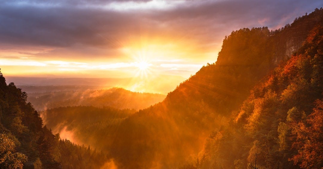mountains and tree range during golden hour