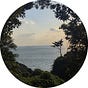 Clarity's avatar