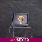 What 'Adult Sex Ed' is about