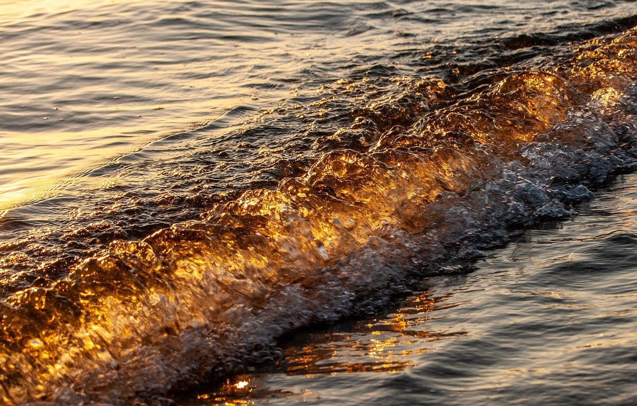 Free Wave Beach photo and picture Free Wave Beach photo and picture