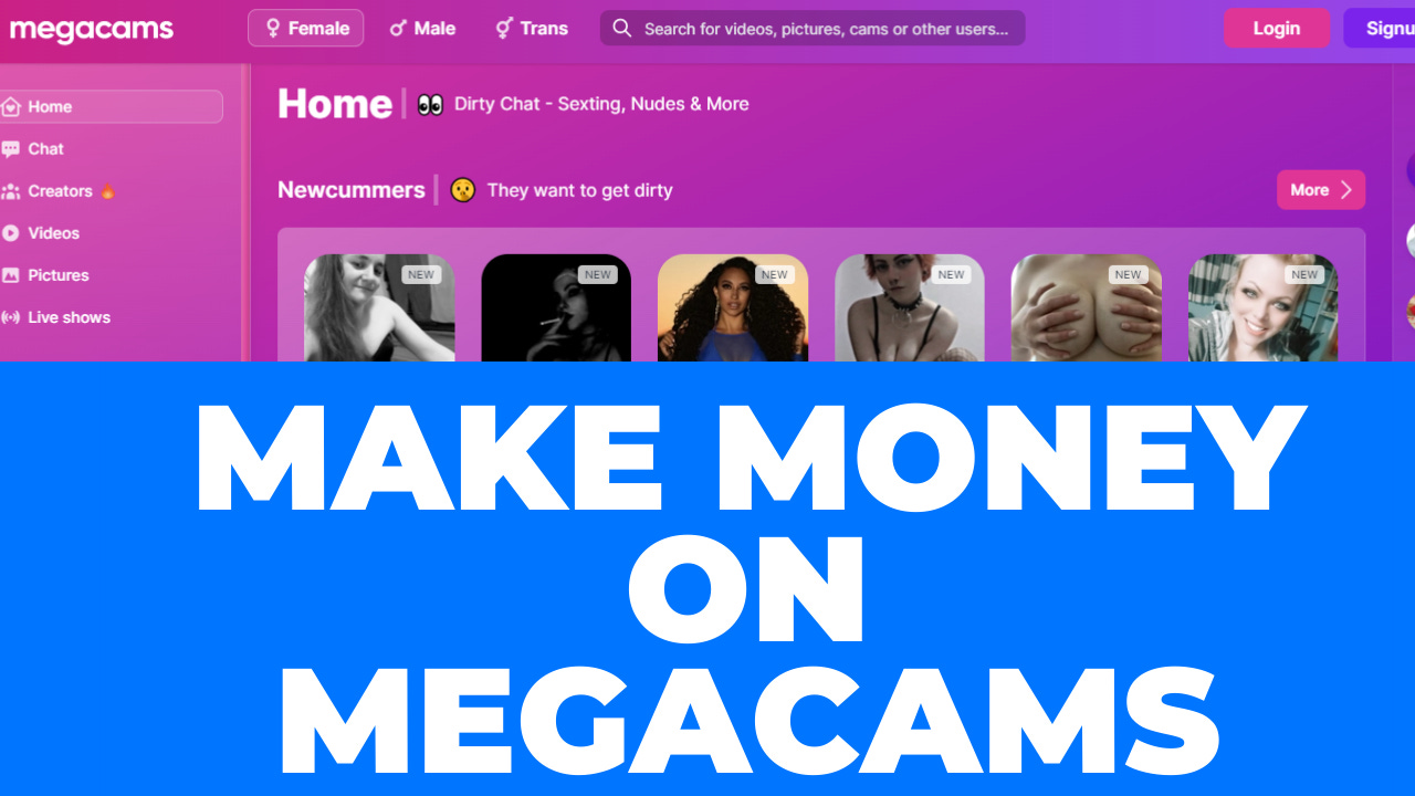 make money on Megacams make money on Megacams