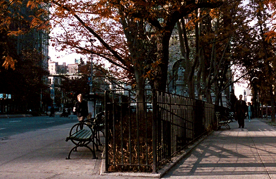 This may contain: there are many birds sitting on the ground in this city park and trees with orange leaves