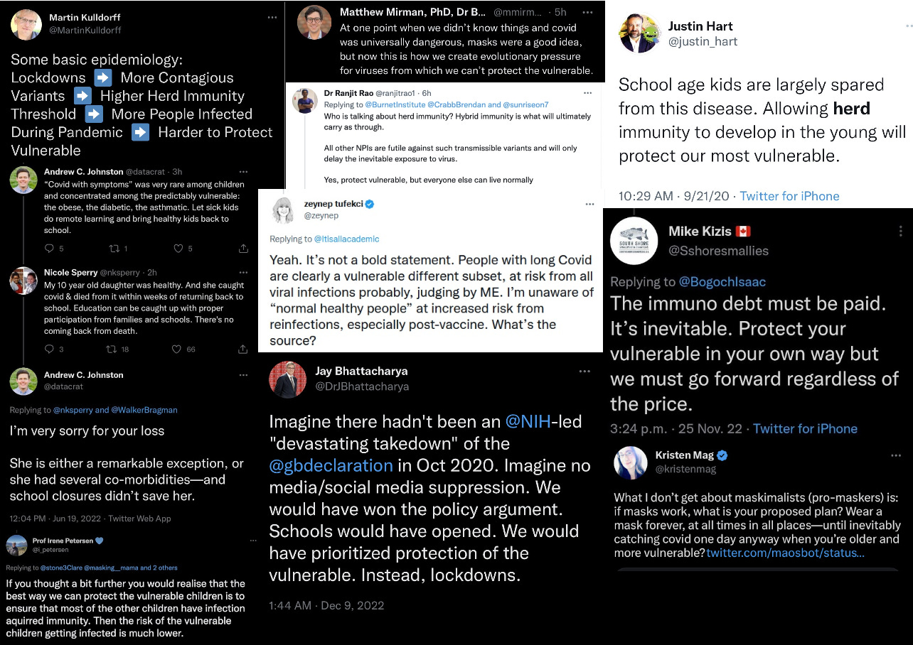 A collection of tweets all featuring the same word: "vulnerable" and how best to protect them by infecting others with COVID-19 A collection of tweets all featuring the same word: "vulnerable" and how best to protect them by infecting others with COVID-19