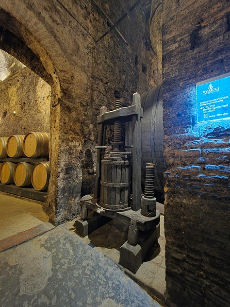 Wine caves, wine barrels