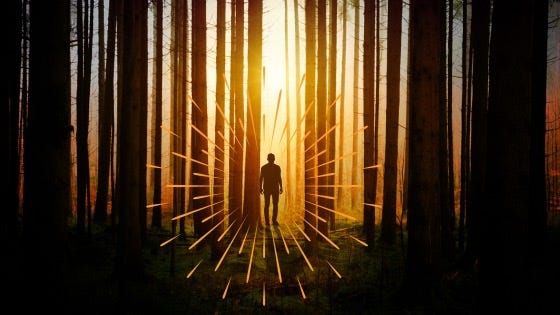 A golden blaze breaks the shadows of the forest. Within that light strides a lone male figure. 
