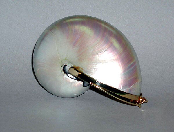 Evening bag, Judith Leiber  American, shell, metal, leather, American