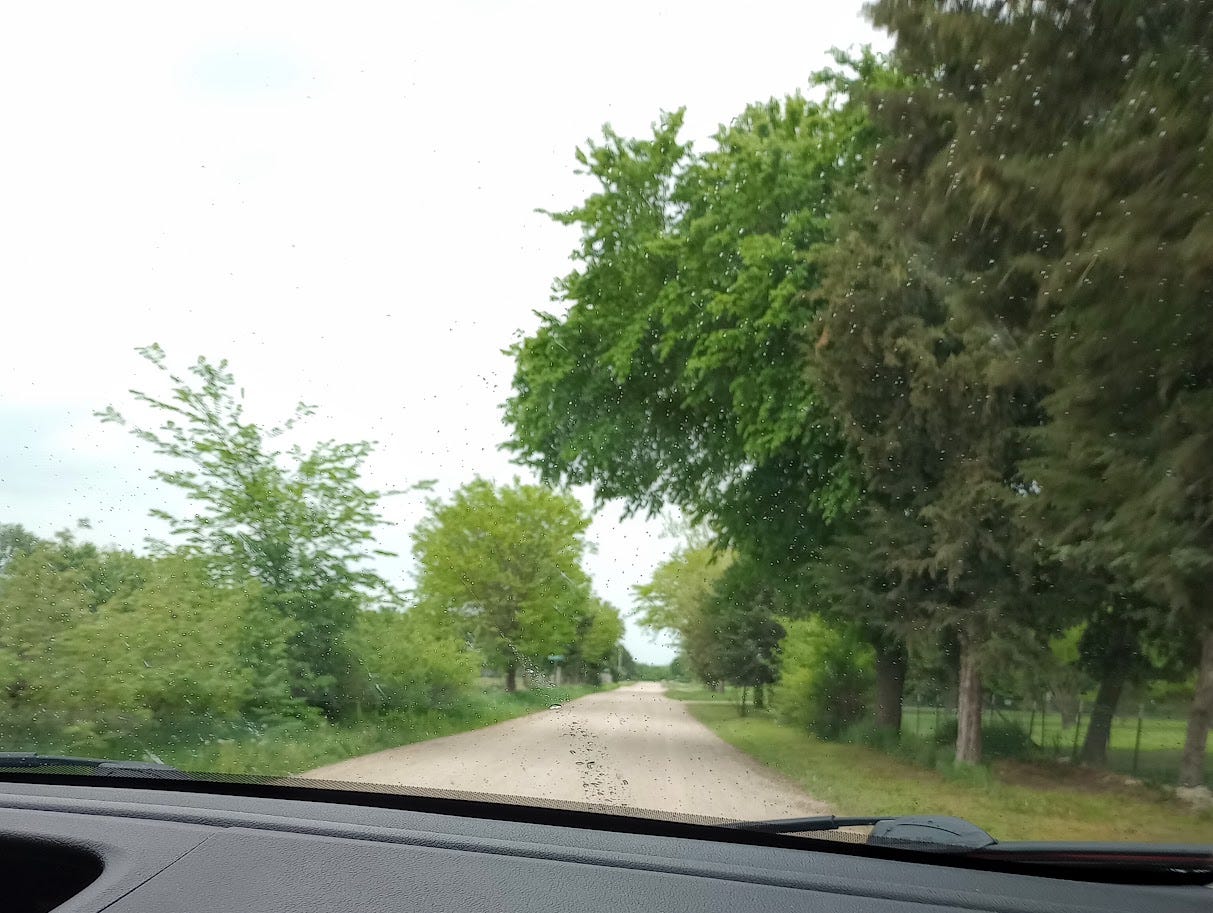View of dirt road and trees from car window