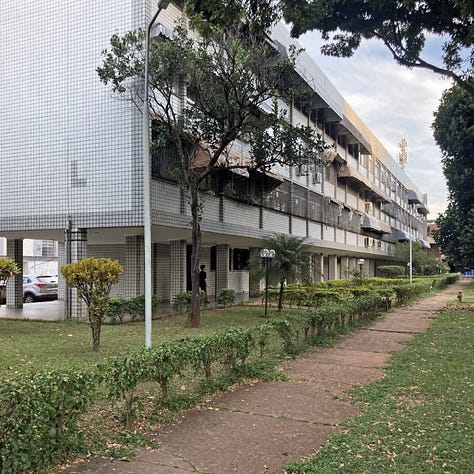 Bloco de superquadra emoldurado por vegetação que dificulta a passagem.