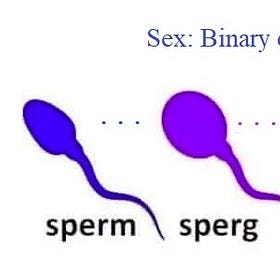 Binarists Vs. Spectrumists