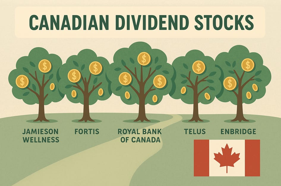 The five best dividend growth stocks from Canada