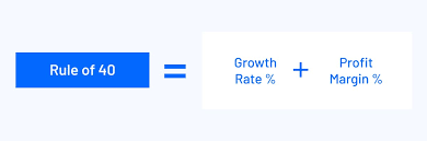 Rule of 40 in SaaS & How to Calculate ... Rule of 40 in SaaS & How to Calculate ...