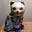 Okie Catfan's avatar