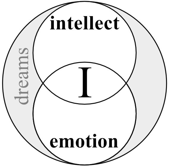 dreams dreaming intellect emotion books therapy counseling insight association lincoln stoller kickstarter