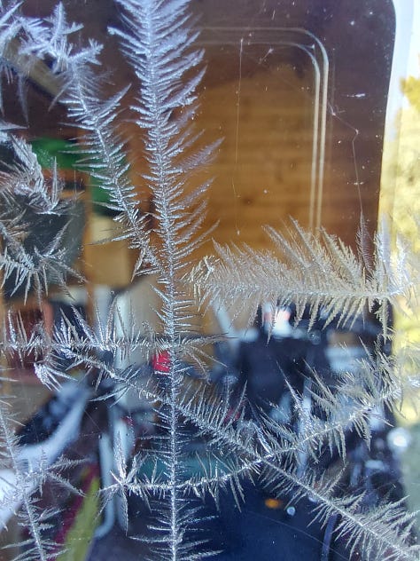 Ice flowers