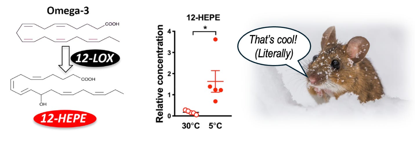 A graph of a graph of a person

AI-generated content may be incorrect.