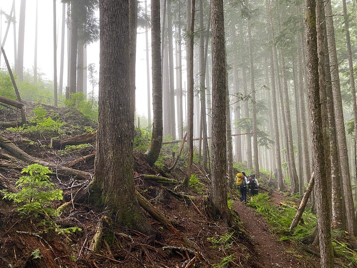 Four photos of the Sunshine Coast Trail. 1. A hiker with a full backpack (me) on a rocky beach at Sarah Point. @ and 3. Forest trails, one bathed in sunlight and the other in mist. 4. A calm lake reflecting a hill and sunny sky, with dead tree trunks lying in the water.