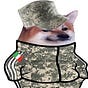 Andrea's avatar