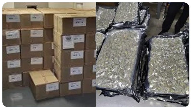 US Customs & Border Protection Officers checking a truckload of “chocolate” arriving in the US from Canada found 52 boxes filled with vacuum-packed marijuana instead. (US Customs & Border Protection photos) US Customs & Border Protection Officers checking a truckload of “chocolate” arriving in the US from Canada found 52 boxes filled with vacuum-packed marijuana instead. (US Customs & Border Protection photos)