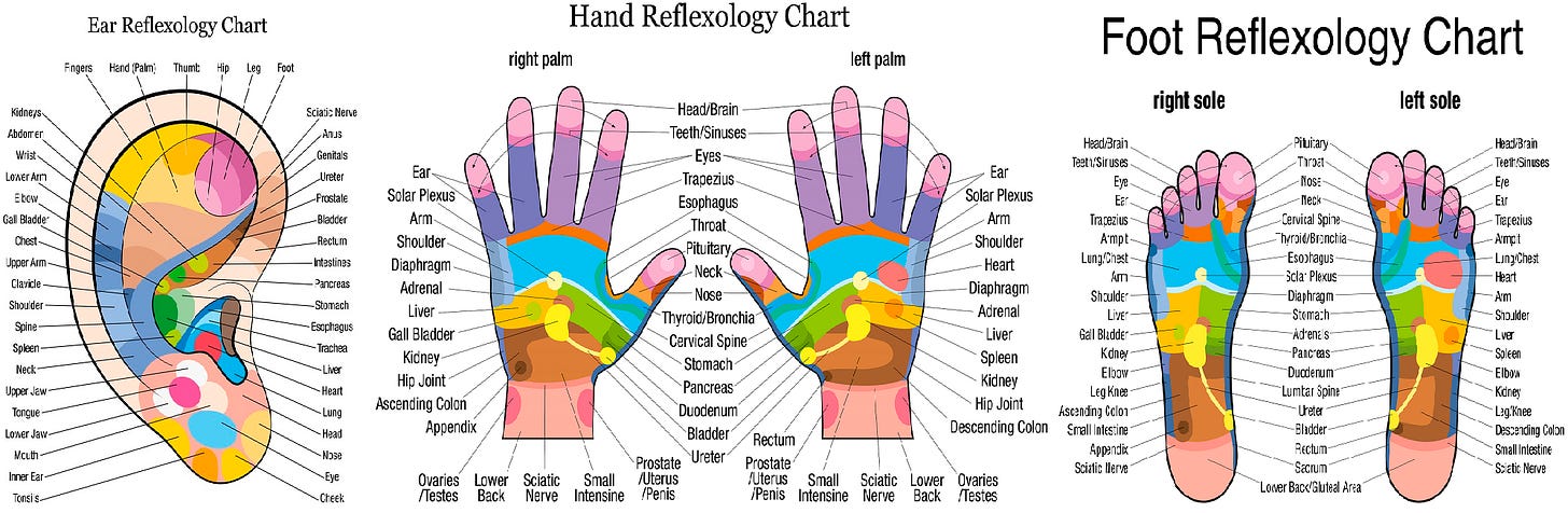 Self-paced Online Home Study 12 CE Hour Reflexology: Foot, Hand & Ear | CE  Institute LLC
