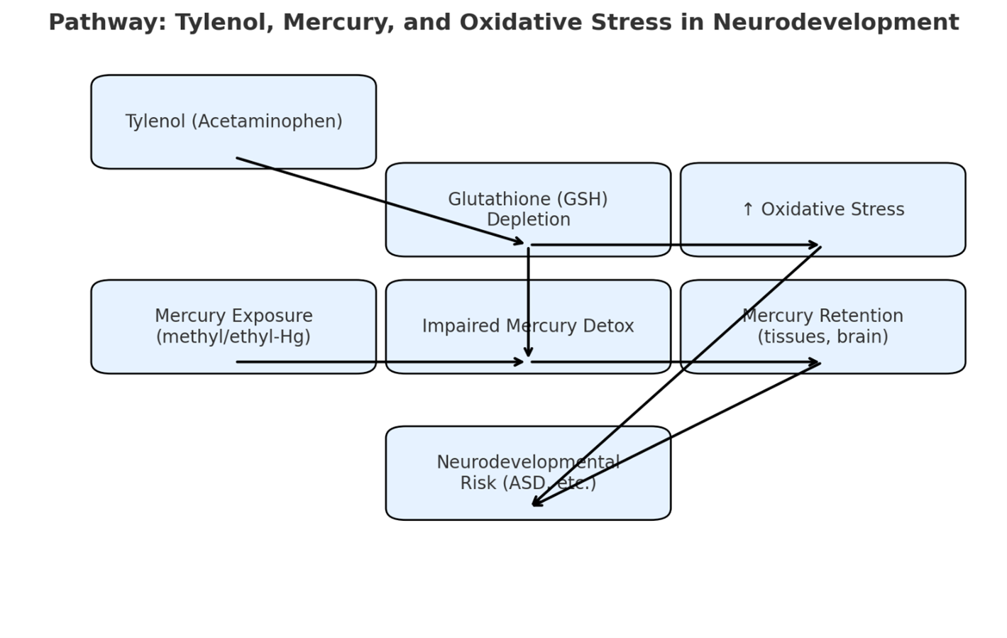 Flowchart diagram showing the pathway linking Tylenol (acetaminophen) and mercury exposure to glutathione depletion, oxidative stress, impaired mercury detox, mercury retention in tissues and brain, and increased neurodevelopmental risk such as autism spectrum disorder (ASD).