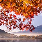 East Asia Travel Guide: A Complete Guide to Must-Visit Destinations (Japan, South Korea, China, Taiwan, Hong Kong)