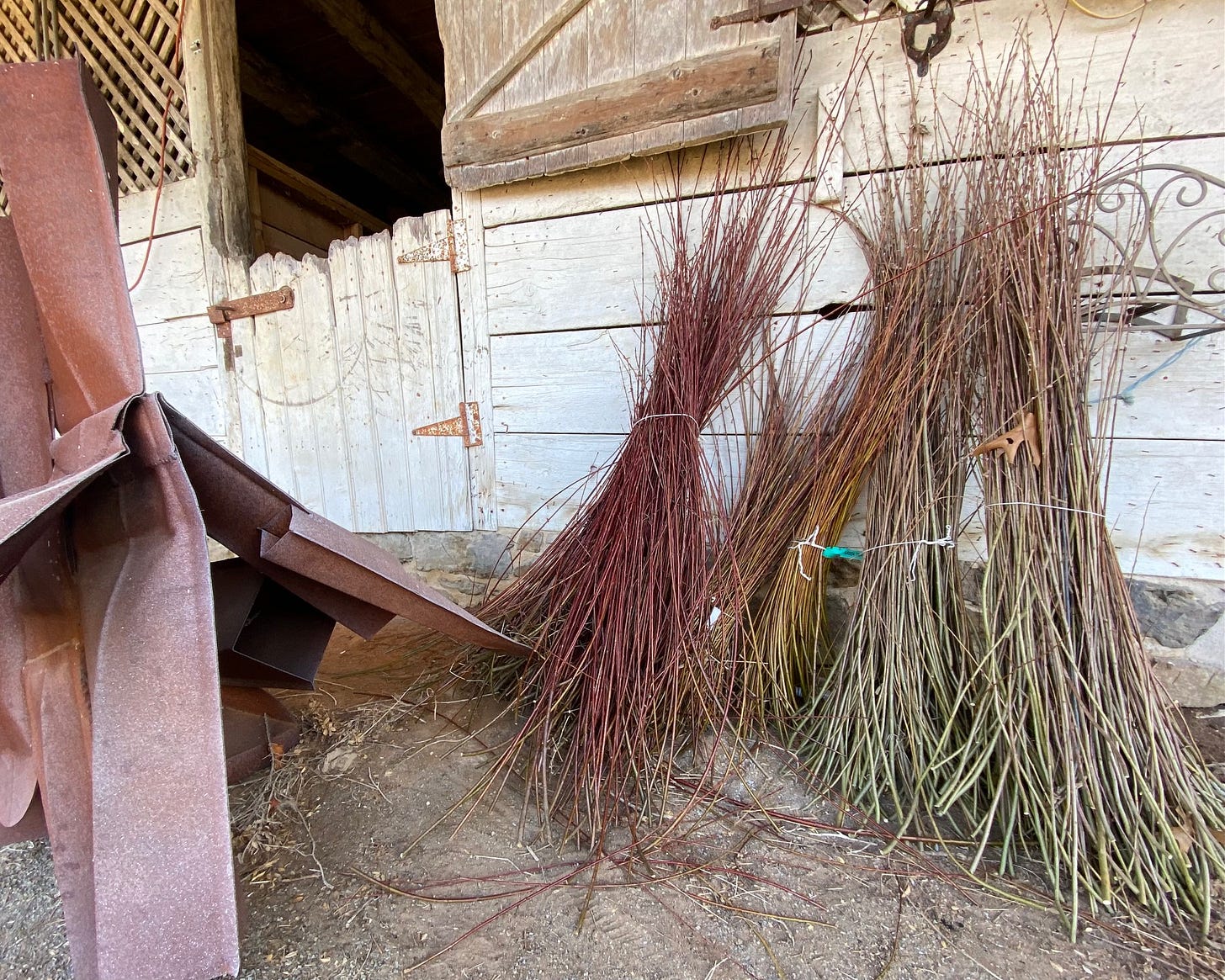 Willow whips drying against a wall