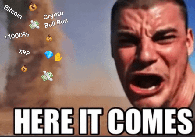 r/cryptocurrencymemes - Fuckle up boys, this ones gona be good. 💨✈️