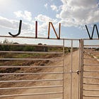 ecofeminismo e Rojava: Maria Mies, Öcalan e Jineolojî