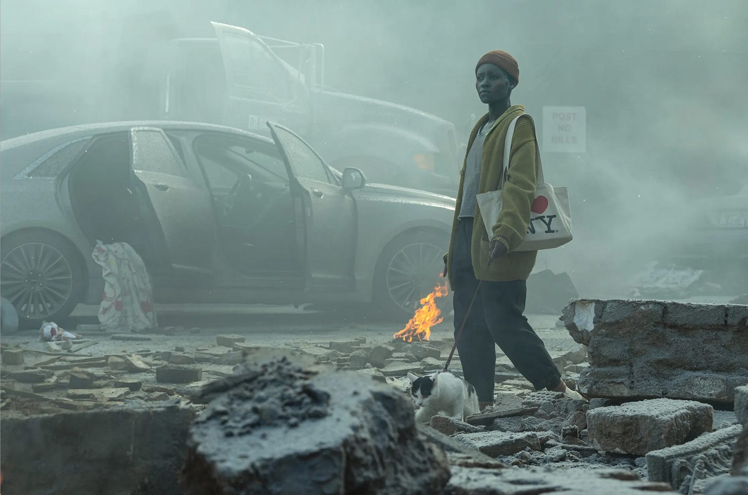 Lupita Nyong'o in a skull cap, black pants, brown sweater and an I love NY bag walking with a cat on a leash through a bombed out NY street Lupita Nyong'o in a skull cap, black pants, brown sweater and an I love NY bag walking with a cat on a leash through a bombed out NY street