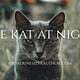 The Kat At Night