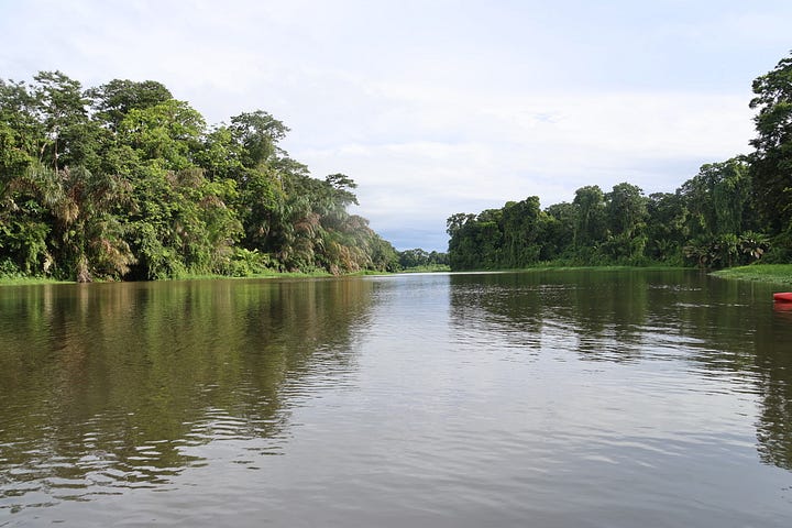 Top left. 2 small narrow boats moored stern to the lagoon side with jungle across the wide lagoon in the distance and storm clouds overhead. Top middle - a Great Green Macaw in flight above beach almond leaves. Top right - From a low angle looking across a brown lagoon with jungle down to the water's edge on the right and a red kayak with a kayaker paddling on the left. Bottom left - large lagoon narrows to a jungle with jungle on either side. Bottom right a large bird with neck extended and wings held out either side sitting in a small patch of jungle with thick jungle vegetation behind it