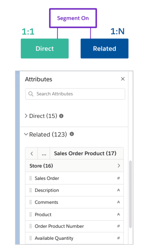 Screen shot of the 1:N Related attribute options available.