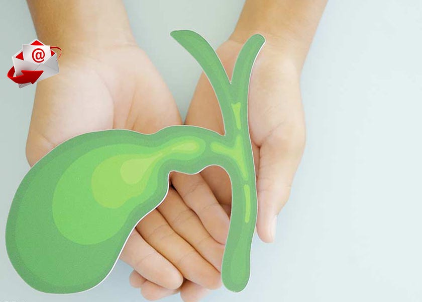 Study Reveals Bile as Reservoir for Microplastics in Humans