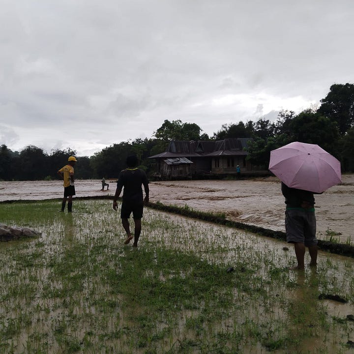 Floods and landslides hit Bali: blocked roads, submerged rice fields, and homes surrounded by rising water..