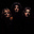 Christ Follower's avatar