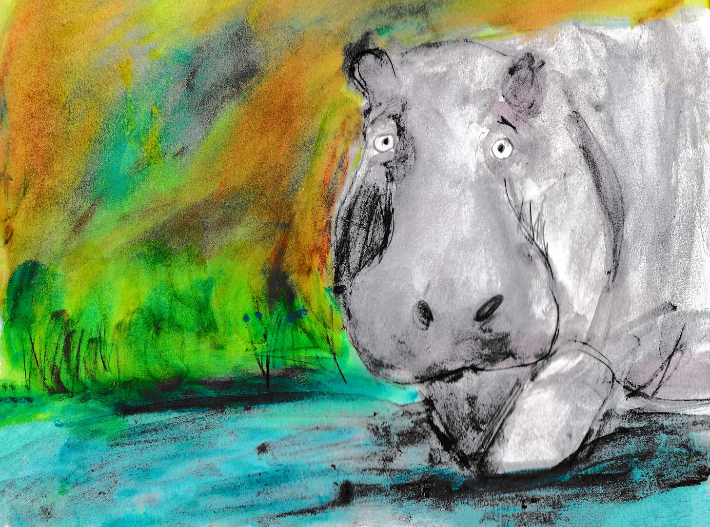 hippo illustration by Beth Spencer
