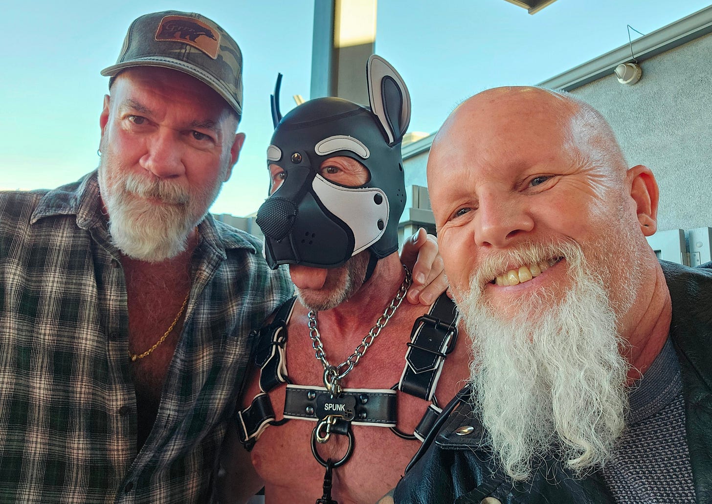 Robert is wearing a black and white pup hood and bulldog harness with a tag that reads "Spunk". 