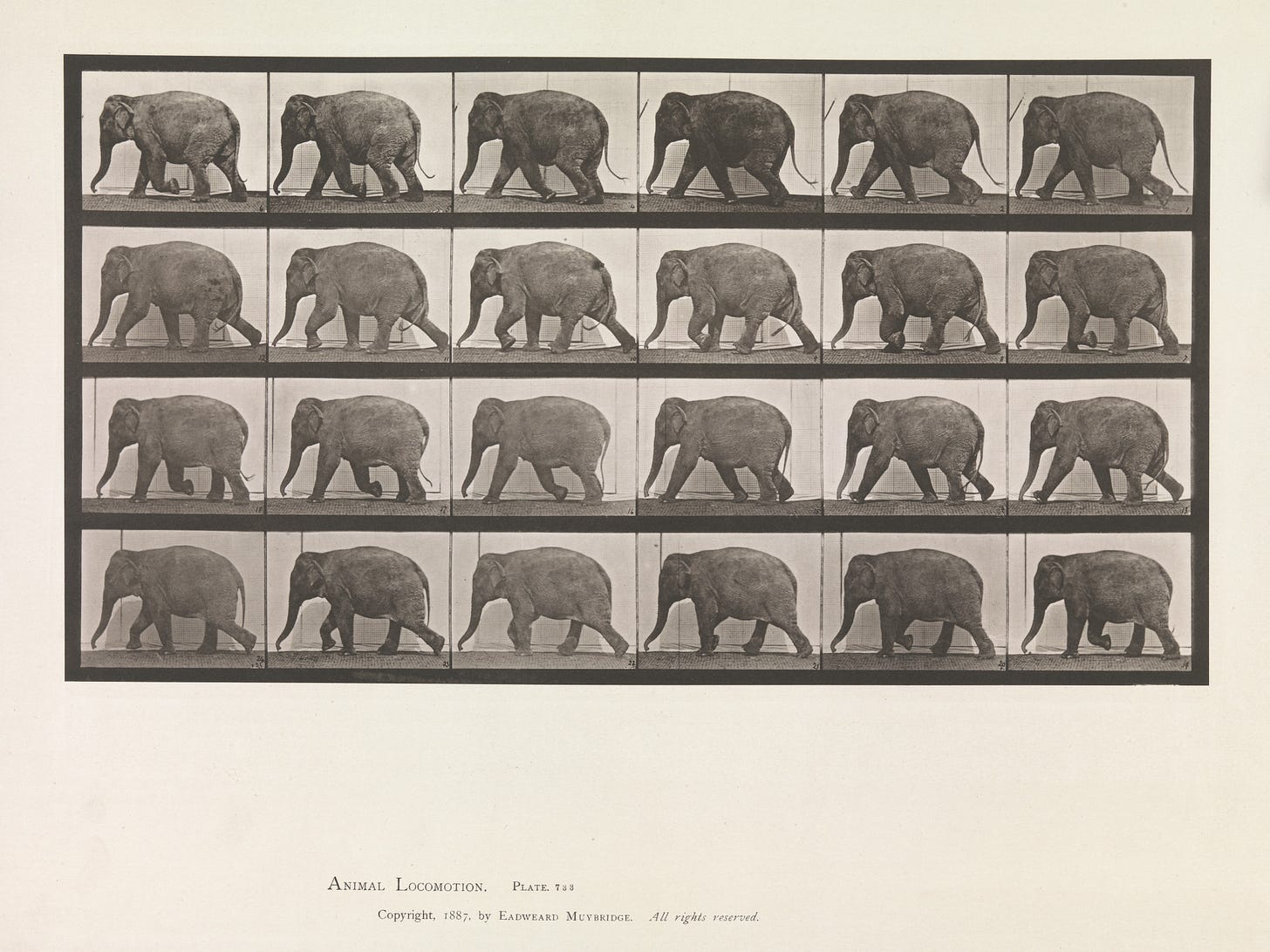 twenty four black and white photos of an elephant walking in a grid