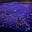 Voices From The City's avatar