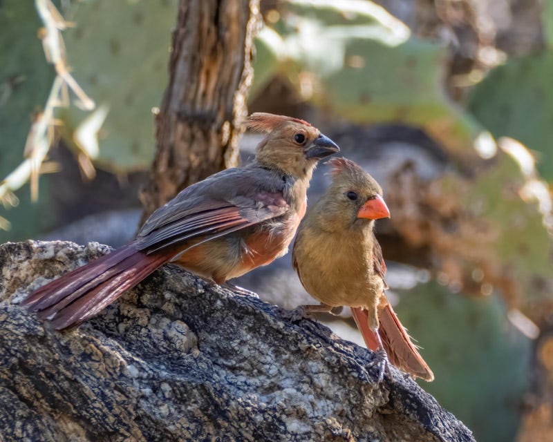 20260520-MBY-355-Edit.jpg