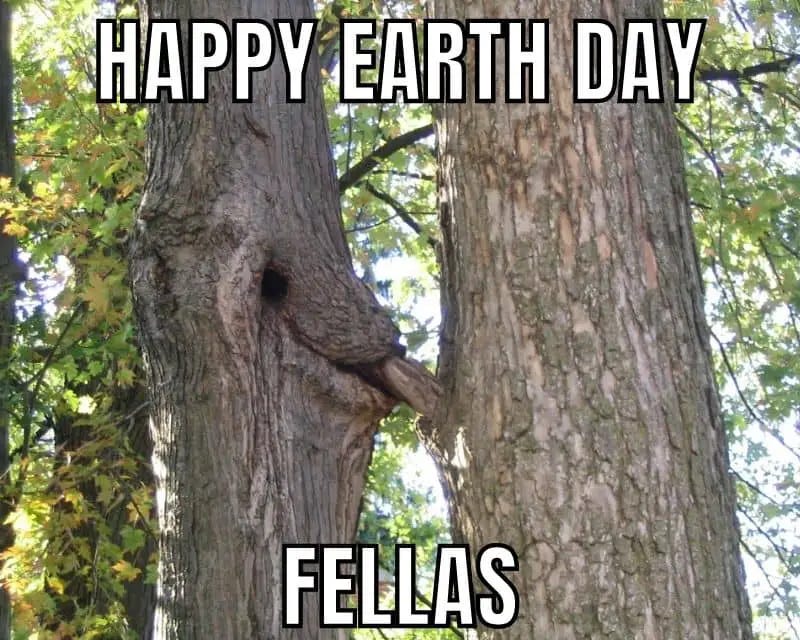 20 Earth Day Memes Of 2026 To Celebrate Green Planet
