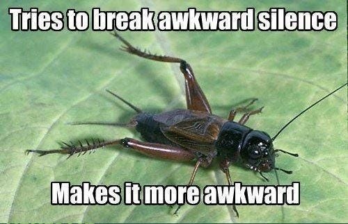 crickets* : Second Language Strategies crickets* : Second Language Strategies